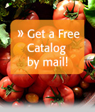 FREE CATALOG